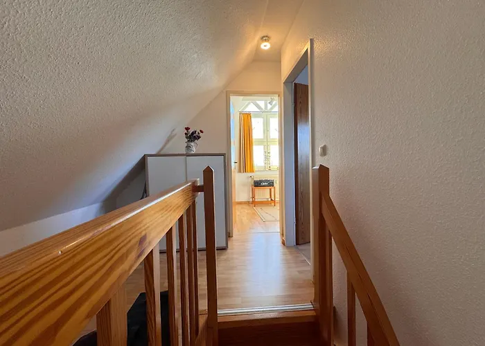 Daire Deichblick10 *